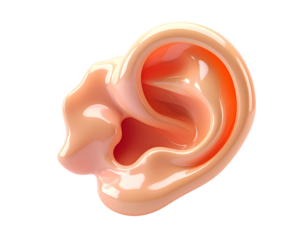 Glossy, stylized human ear, rendered in soft, peachy tones against black