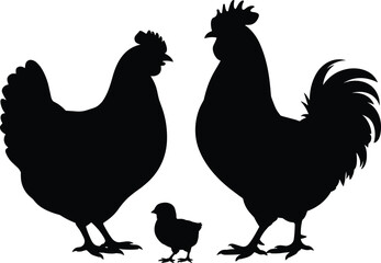 Fototapeta premium Chicken family silhouette with rooster hen and chick, black farm animal vector illustration, poultry agriculture icon on white