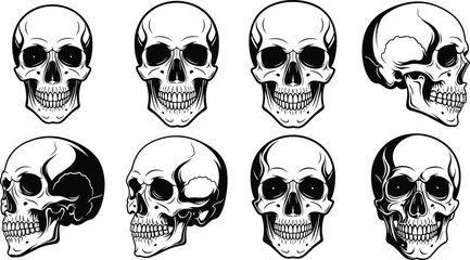 Human skull illustration set, front and side view anatomy silhouettes vector collection, gothic horror design elements, medical study concept, black white 