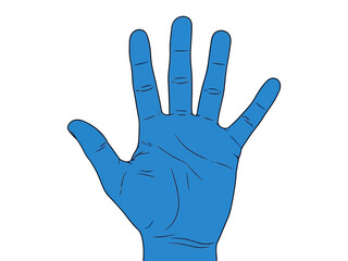 Obraz premium Blue disposable nitrile examination gloves for medical and laboratory use