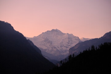 Pink alpenglow on the snowcovered peak of Jungfrau at sunrise in Switzerland