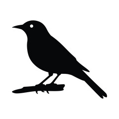 Obraz premium Crow Bird Silhouette Vector – Minimal Black Raven Perched Illustration