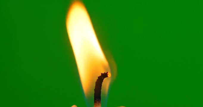 Close-up of a burning matchstick against a vibrant green background, showcasing flame dynamics