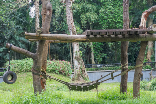 Outdoor zoo enclosure with wooden climbing structures and green surroundings, no animals present, representing habitat design, conservation spaces, and environmental themes.