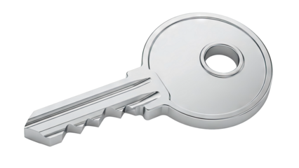 Single Metallic Key