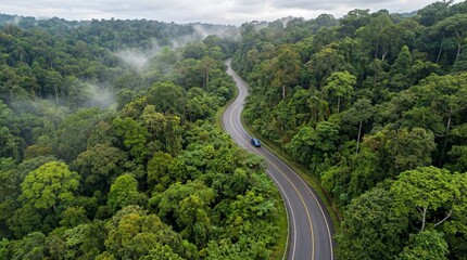 Aerial view of a winding road through a dense forest with a car driving on it surrounded by green trees and foliage