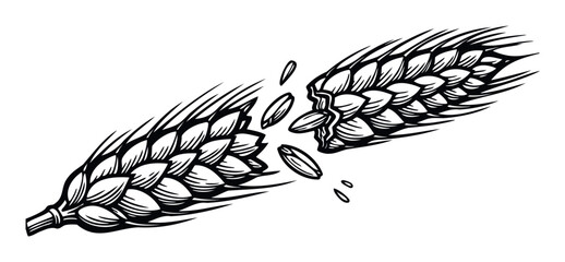 Bold graphic depiction of a broken grain ear releasing kernels representing harvest challenges or bread ingredients ideal for food processing branding and culinary presentations
