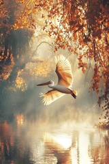 White pelicans spreading their wings and flying on the lake in autumn