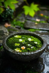 The deep green moss on the courtyard slate