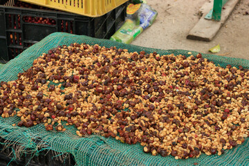 Coffee beans drying on mesh during traditional processing
