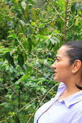 Woman inspecting coffee plants on a coffee farm plantation