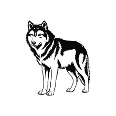Wolf Illustration, Wolf Detailed Silhouette in white background