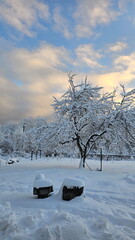 Winter landscape in a mountain village