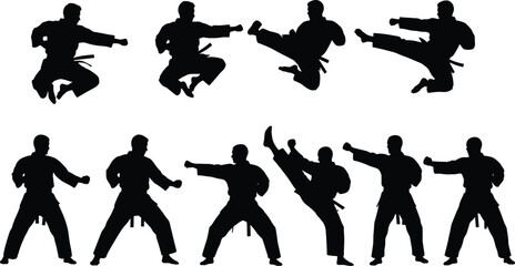 Silhouette martial artists performing kicks, punches, and advanced karate techniques, demonstrating discipline, strength, self-defense skills, and combat training on white background