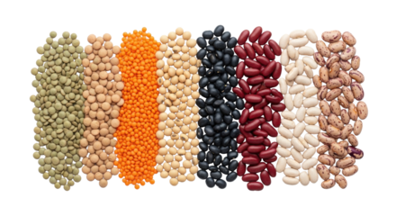 Diverse colorful dried legumes (lentils, kidney beans, black beans, soybeans) in distinct vertical piles on a seamless transparent background, flat lay. Concept of healthy plant-based nutrition