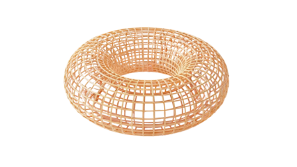 3D Wireframe Torus Shape