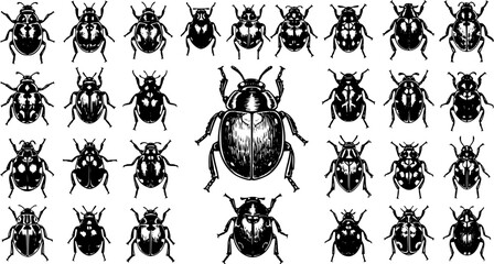 Fototapeta premium Beetle Variety: Ink Sketch Vector Illustration of Diverse Bug Species