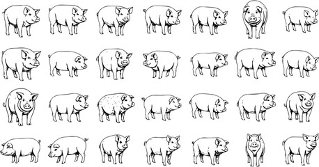 Detailed hand-drawn black and white line art illustrations of various pigs. A collection of farm animal icons and livestock symbols, perfect for agriculture and food industry designs.