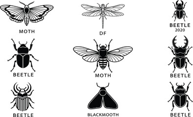 Insect vector illustration set, detailed moth, beetle, dragonfly, cicada, blackmoth designs, entomology collection, vintage insect drawings, isolated icons © CreativeStorage