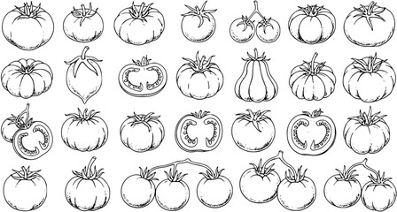 Detailed black and white line art collection of various tomato types and shapes, hand-drawn vector illustrations for food, farm, and healthy lifestyle designs.