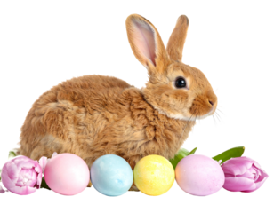 A fluffy, brown rabbit with soft fur sits beside colorful, painted Easter eggs and pink and green flower buds
