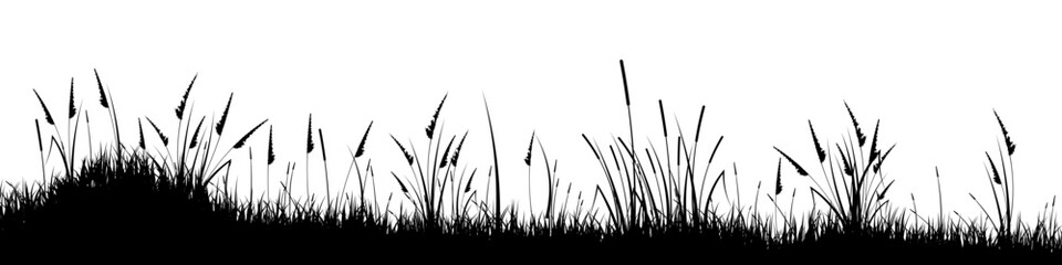 Fototapeta premium Meadow silhouette with grass, plants on plain. Panoramic summer lawn landscape with herbs, various weeds. Herbal border, frame element. Black horizontal banners. Vector illustration