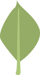 緑の葉のイラスト 透明背景