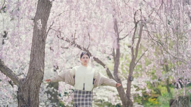 Woman tourist sightseeing Sakura Cherry Blossom in Spring, happy traveler travel in Tendo Park or Maizuru Park in Yamagata prefecture, Tohoku, Japan. famous Landmark for Travel and Vacation