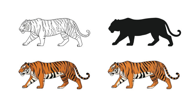 Set of four illustrations of a walking tiger outline drawing, silhouette, original color, and filled color version, labeled ostutine and original color