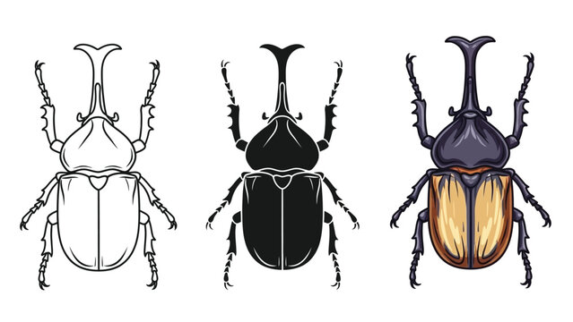 Set of three rhinoceros beetle illustrations outline drawing, solid silhouette and colored version of male insect