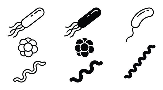 Bacteria Types Vector Set, Bacillus, Coccus, Spirillum Forms, Microbiology Organisms Illustrations