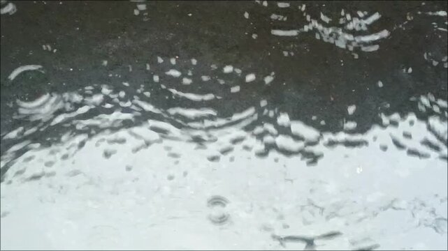 Raindrops Forming Ripples