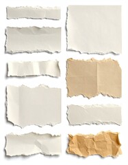 Fototapeta premium Torn paper pieces, various shapes and textures on white