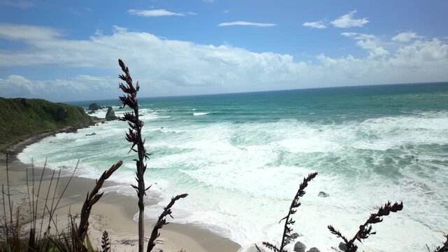 Foaming surf crashing near sandy beach with coastal plants