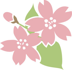 桜の花と葉とつぼみのイラスト 透明背景