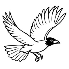 eagle vector illustration