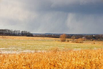 Fototapeta premium A wide field with dry golden grass and patches of melting snow stretches to the horizon under an overcast sky. In the background, streaks of heavy rain are visible,