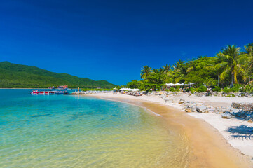 landscape with sandy beach with sun loungers and umbrellas under palm trees in bay by sea on sunny summer day at resort on paradise island