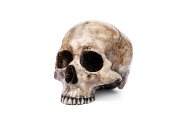 Obraz premium Dark human skull lacks a jaw with old brown stains isolated on white background.