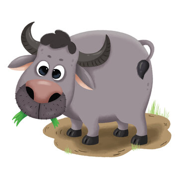 Funny cartoon buffalo isolated on a white background with a cute farm animal style
