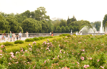 Obraz premium A beautiful large fountain in a park. People strolling by the fountain on a summer day. Nature