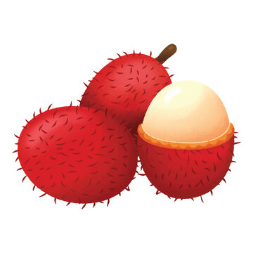 Fresh lychee and dragon fruit isolated on a white background