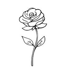 Hand drawn rose flower romantic love doodle illustration