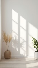 Generative AI Minimalist Interior with Natural Plant Shadows