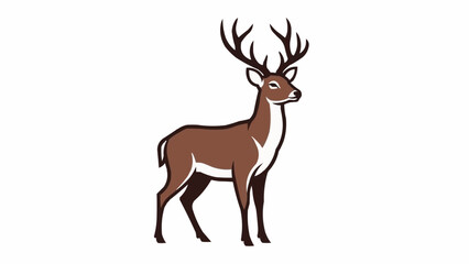 Obraz premium Majestic Stag Deer with Antlers Standing Proudly.