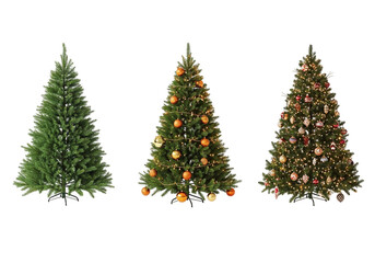 Three Christmas Trees with Varying Decorations