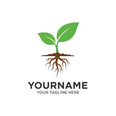 Generative AI Vector Logo: Young Plant with Roots and Green Leaves Icon
