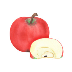 Illustration of an apple and a slice, hand-drawn watercolor fruit. Ripe, realistic seasonal fruit.