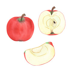 Illustration of an apple, slice and half, hand-drawn watercolor fruit. Ripe, realistic seasonal fruit.