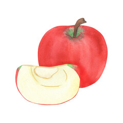 Illustration of an apple and a slice, hand-drawn watercolor fruit. Ripe, realistic seasonal fruit.